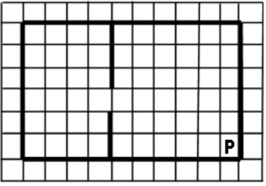 Прямоугольник в клеточку 3 на 20. На поле закрашены угловые клетки прямоугольника. Среда исполнителя робот это прямоугольное клетчатое поле. Напишите для робота алгоритм закрашивающий все клетки.