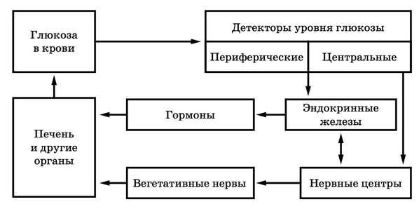 На рисунке изображена схема городского округа владимир с делением на ленинский октябрьский егэ